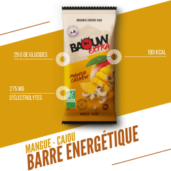 Barres énergétiques Mangue - Cajou