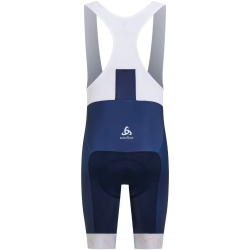 copie de Maillot Manches Courtes Odlo Performance Alpes