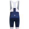 copie de Maillot Manches Courtes Odlo Performance Alpes